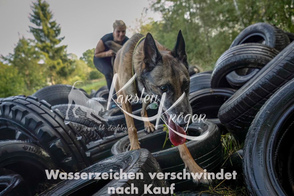 1058_ZZ91034-Bearbeitet-2 | kk-dogfotos