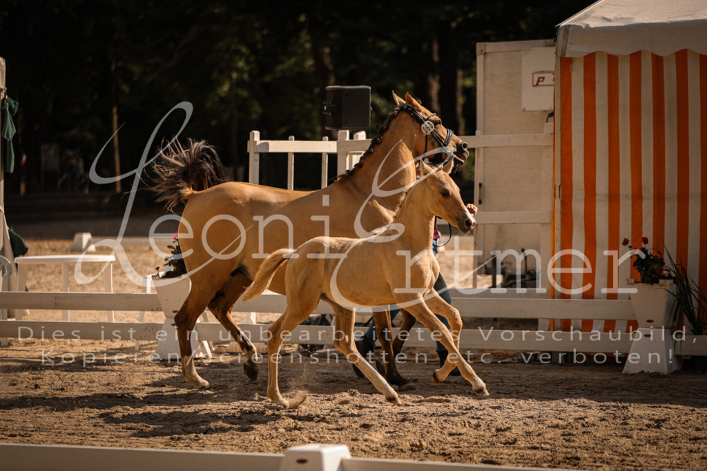 10.DoRP00193 | Leoni Ertmer Photography - Realisiert mit Pictrs.com