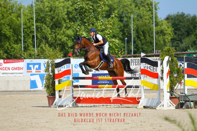 Gut Blee25_Amateuer Stilsprpfg Kl L_0324 | Turniersportfotografie; Pferdefotografie; Dressurfotografie
