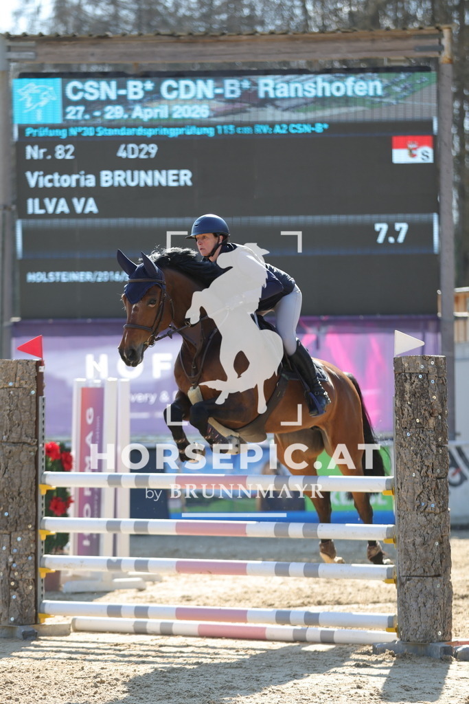 0P6A9918 | Willkommen bei Brunnmayr - Design & Fotografie – Ihrem Spezialisten für Reitturniere und Pferdeveranstaltungen in Oberösterreich, Salzburg und Bayern! Seit über 17 Jahren sind wir leidenschaftlich dabei.