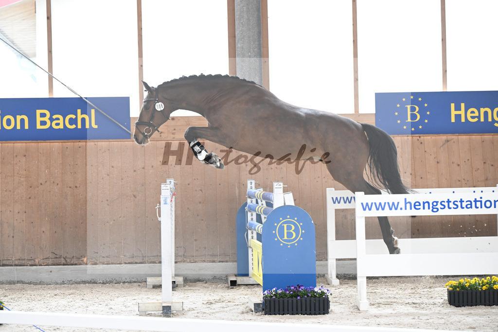 Kat-Nr. 8 nn v. Vigaro_Rau_5250253 | hf-fotografie - Realisiert mit Pictrs.com