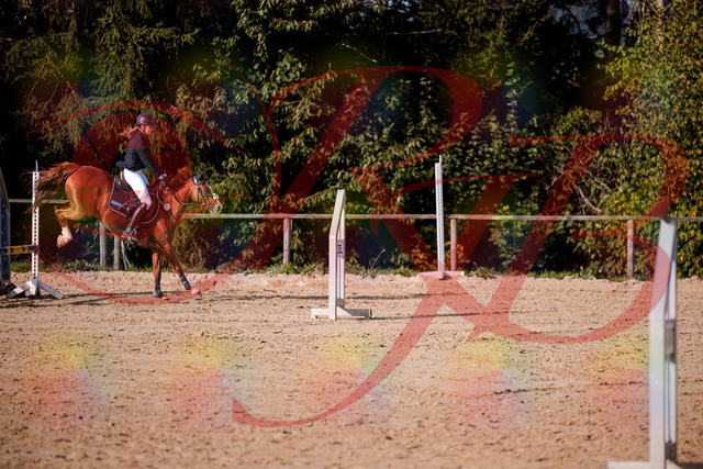 2026_10_03_Siefer-Hof_155823_Z81_78371903 | Professionelle Reitsport-, Turnier- und Eventfotografie von Robert Broda. Galerien mit ausgewählten und bearbeiteten Bildern direkt online ansehen und bestellen.