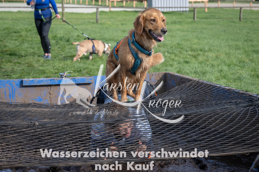 1609_ZZ91783 | kk-dogfotos