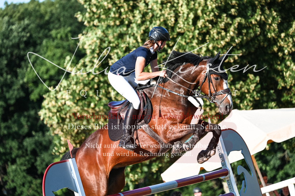 DSC_3113 | Pferde- und Turnierfotografie in Westsachsen. Pferdeportraits, Auftragszeichnungen und intuitive Kunst.