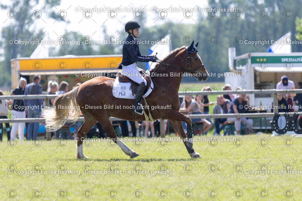 CL5A2226 | Emilia Reinking Fotografie - Realisiert mit Pictrs.com