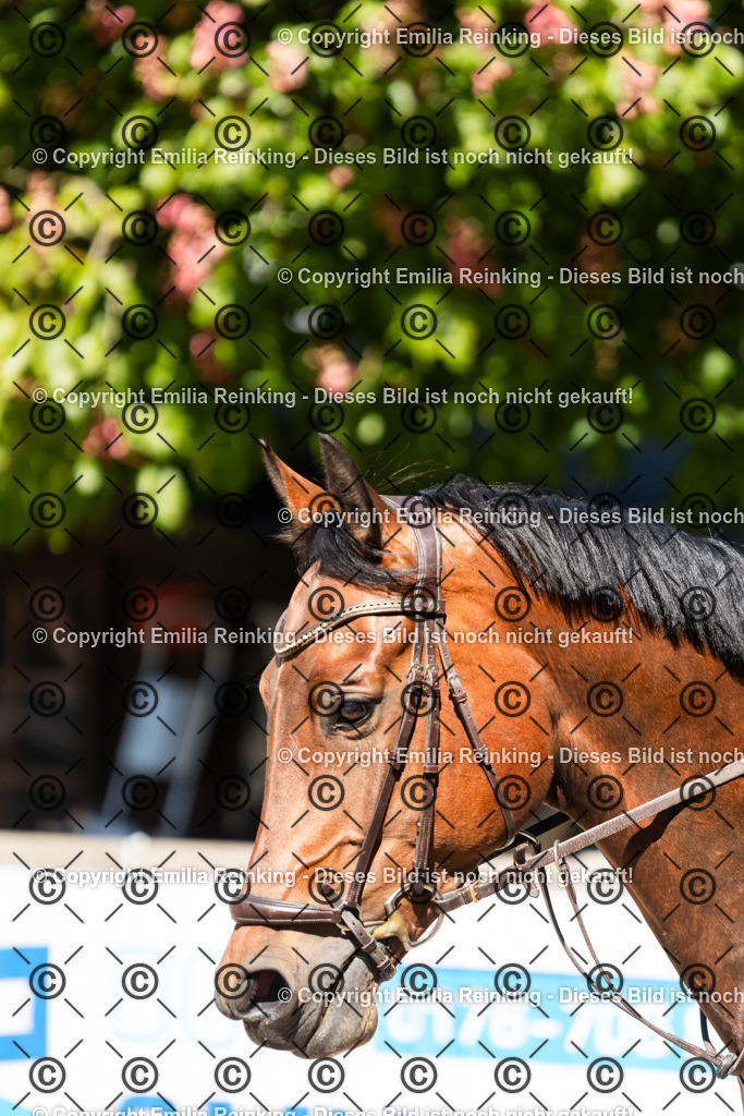 CL5A2996 | Emilia Reinking Fotografie - Realisiert mit Pictrs.com