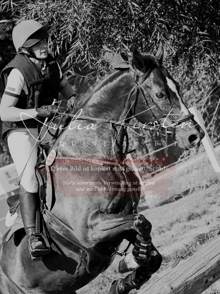 DSC_8562 | Pferde- und Turnierfotografie in Westsachsen. Pferdeportraits, Auftragszeichnungen und intuitive Kunst.