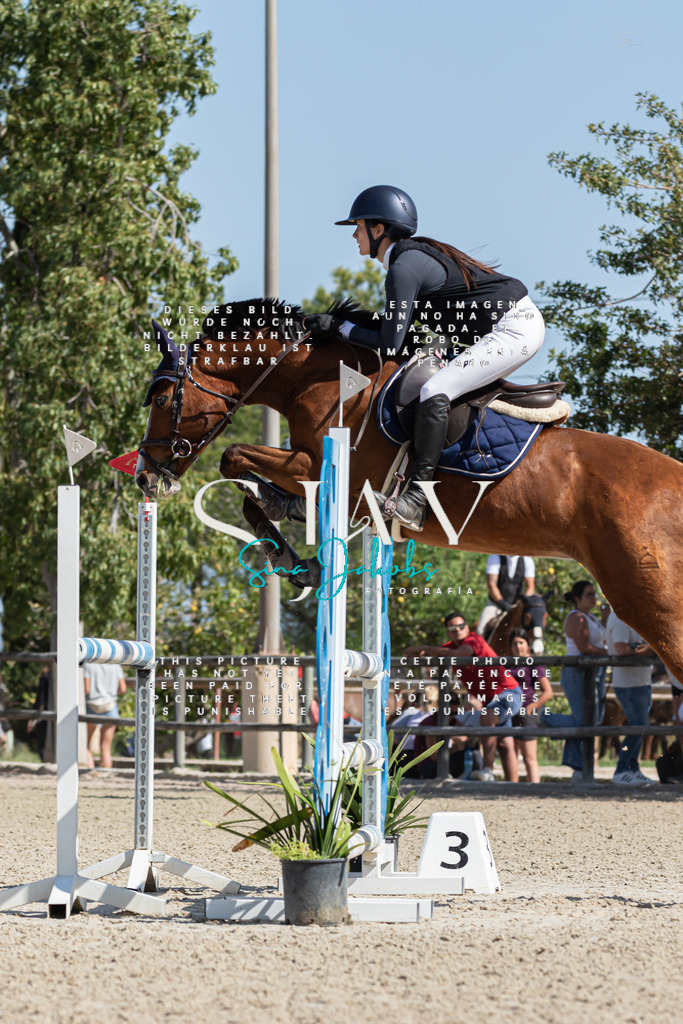 IMG_0796 | s-jay-photography - Realized with Pictrs.com