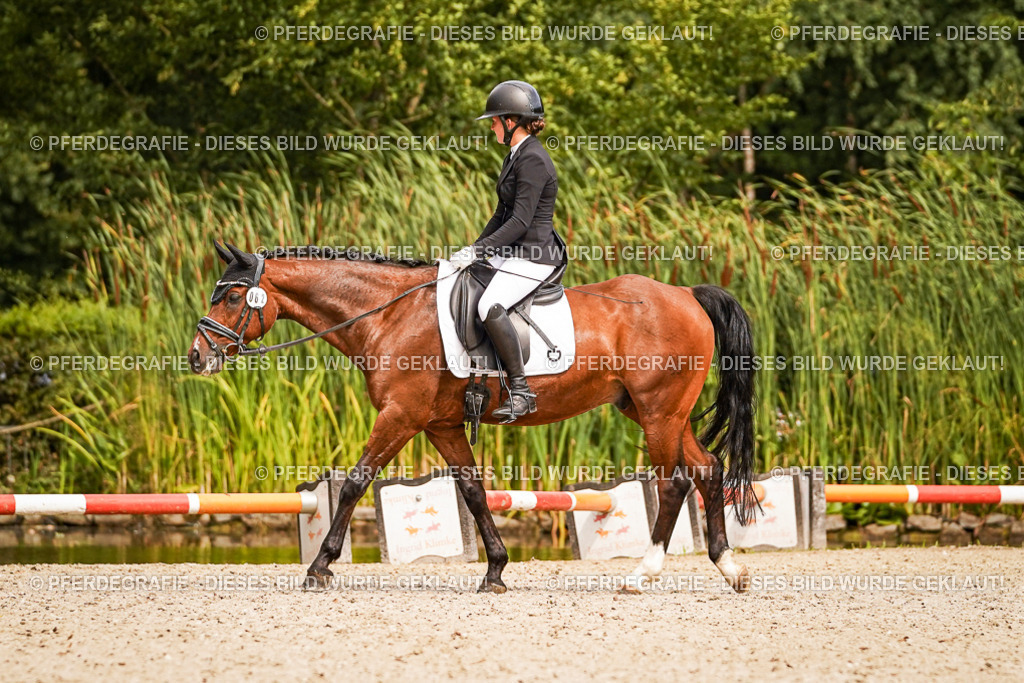 DSC02048 | Pferdegrafie