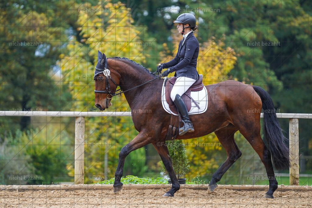 20221008-FAH01692 | Diessen am Ammersee, 2022, Dressur- und Springturnier, Reitsportbilder, Turnierfotografen Bayern, Pferdefotografen, Fotoagentur Herrmann, Turnierbilder