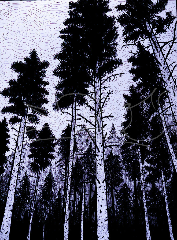 Hängemattenview | Mit Fineliner auf Papier - Realisiert mit Pictrs.com