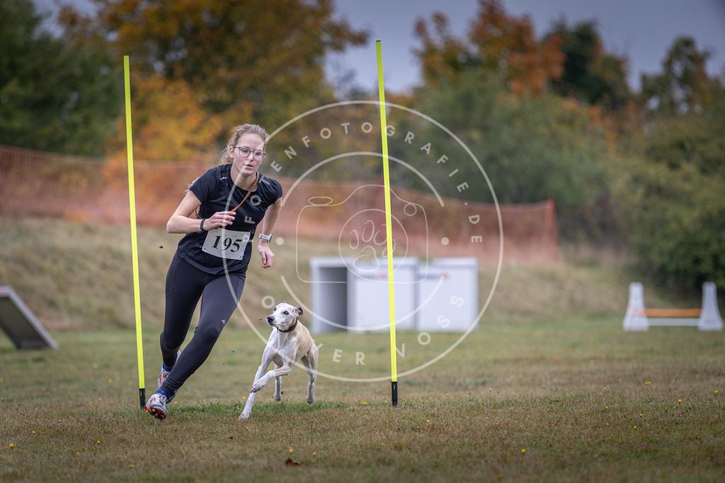 Pfotenfotografie_DV3A1018 | Hundefotografie, Tierfotograf, Pfotenfotografie, Fotoshooting Hund, Hunde Portrait, Hundesport, Hundeportraits, Heideshooting, Hunde, Sportfotograf, Hundefotograf, Turnierhundsport, THS,  - Realisiert mit Pictrs.com