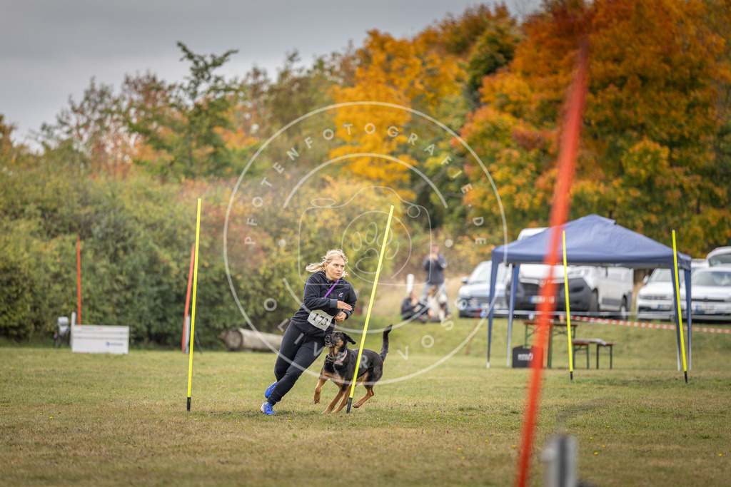 Pfotenfotografie_DV3A5710 | Hundefotografie, Tierfotograf, Pfotenfotografie, Fotoshooting Hund, Hunde Portrait, Hundesport, Hundeportraits, Heideshooting, Hunde, Sportfotograf, Hundefotograf, Turnierhundsport, THS,  - Realisiert mit Pictrs.com