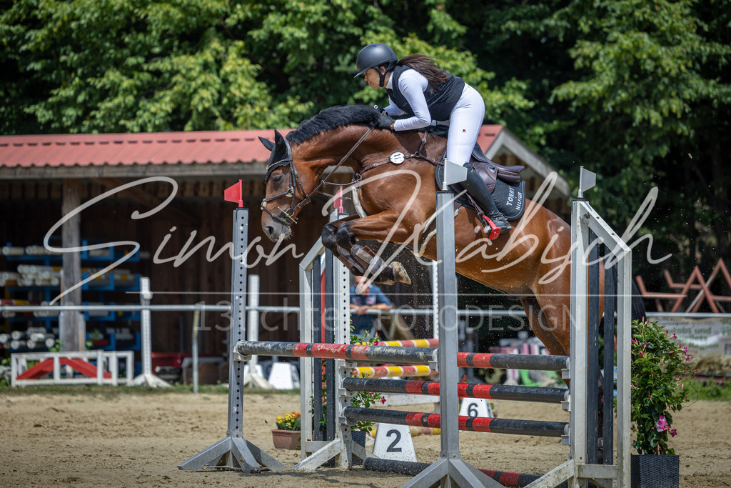 20260704-_3LI9975 | Tierfotografie Pferde, Hunde, Katzen, Haustiere.
Turnierfotografie Reitturniere, Reiten, Springreiten, Dressur in Hanau, dem Main-Kinzig-Kreis und dem Rhein-Main- Gebiet um Frankfurt