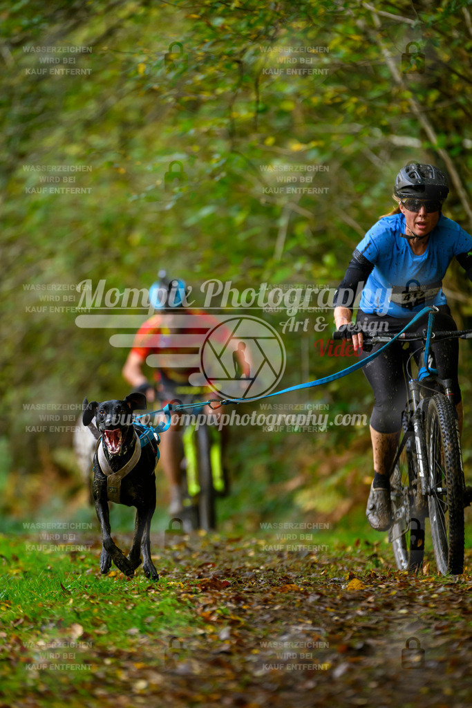 MompixPhotography_20TSB_E1_Bike-70 | PayLife