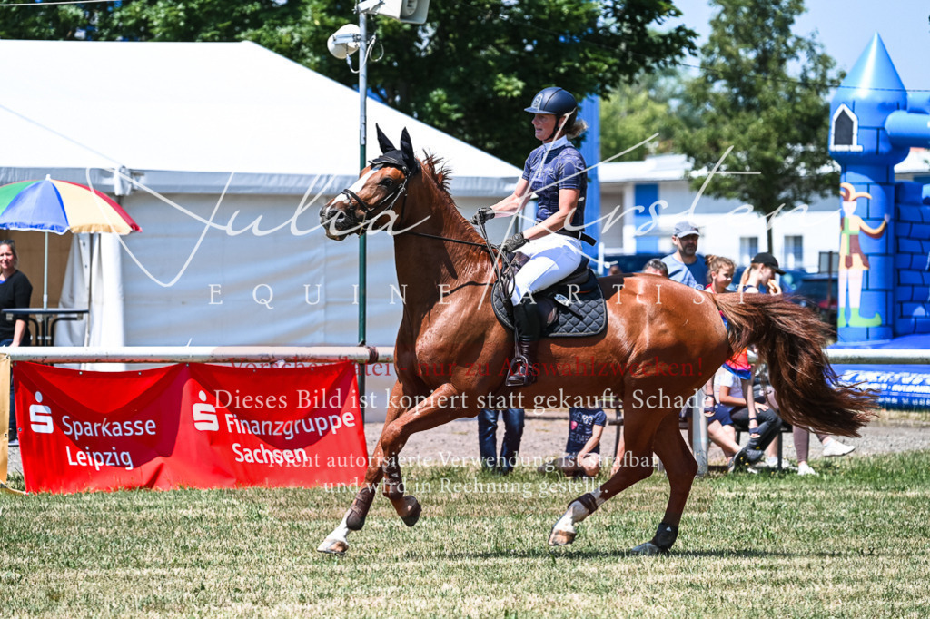 DSC_0138 | Pferde- und Turnierfotografie in Westsachsen. Pferdeportraits, Auftragszeichnungen und intuitive Kunst.