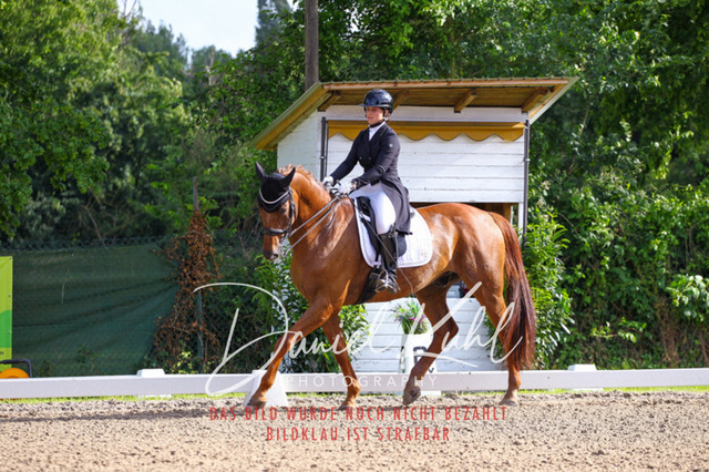 DKP41592 | Deine Turnierfotos vom Reitturnier online kaufen: Dressur, Springen & Siegerehrung. Professionelle Pferdefotografie aus dem Rheinland – als Download & Print.Alternative: Turnierfotograf für den Pferdesport: Finde deine Fotos von Dressur- und Springturnier