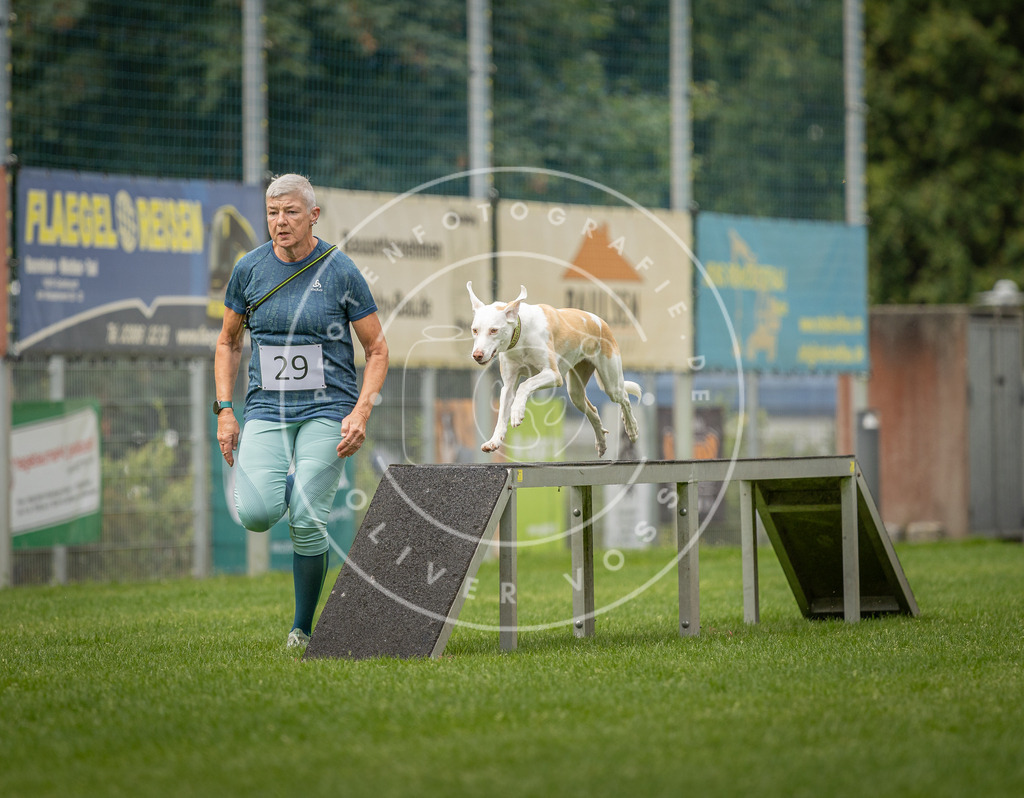 Pfotenfotografie_DV3A8860 | Hundefotografie, Tierfotograf, Pfotenfotografie, Fotoshooting Hund, Hunde Portrait, Hundesport, Hundeportraits, Heideshooting, Hunde, Sportfotograf, Hundefotograf, Turnierhundsport, THS,  - Realisiert mit Pictrs.com