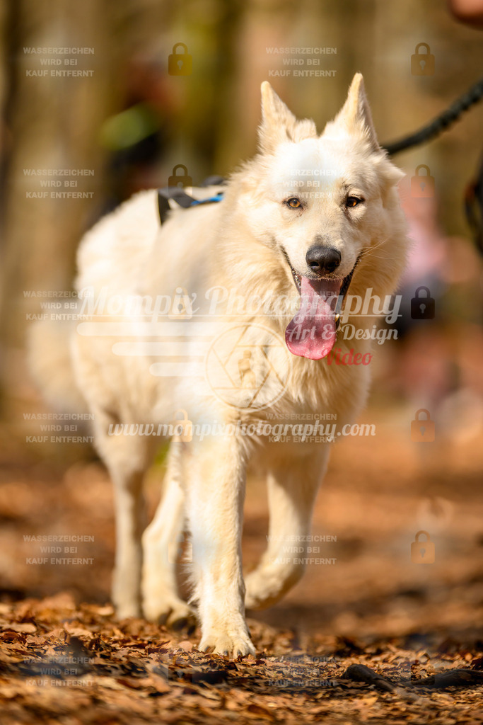 MompixPhotography_Habay2025_SA_CCC-153 | PayLife
