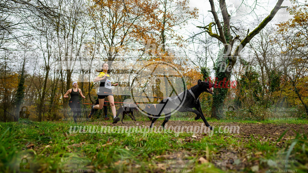 MompixPhotography_Bischwiller24_DI_CoursedeRelais-12 | PayLife