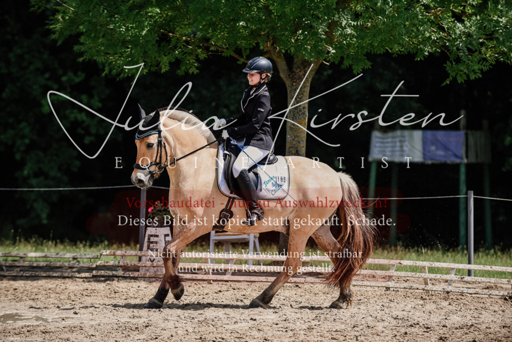 DSC_1686 | Pferde- und Turnierfotografie in Westsachsen. Pferdeportraits, Auftragszeichnungen und intuitive Kunst.
