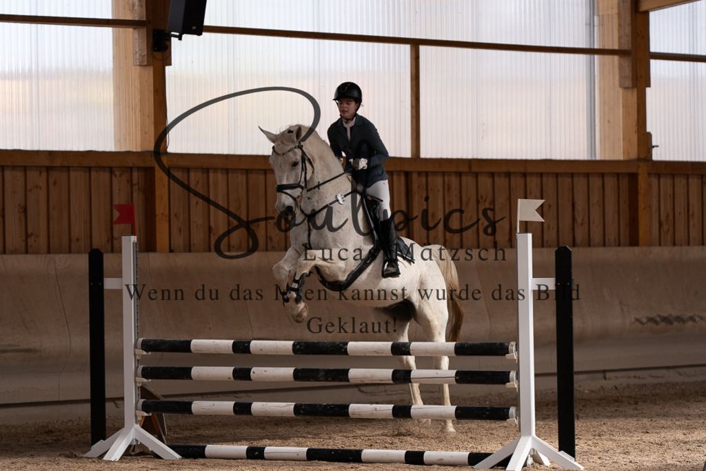 A7507716 | Pferdefotograf