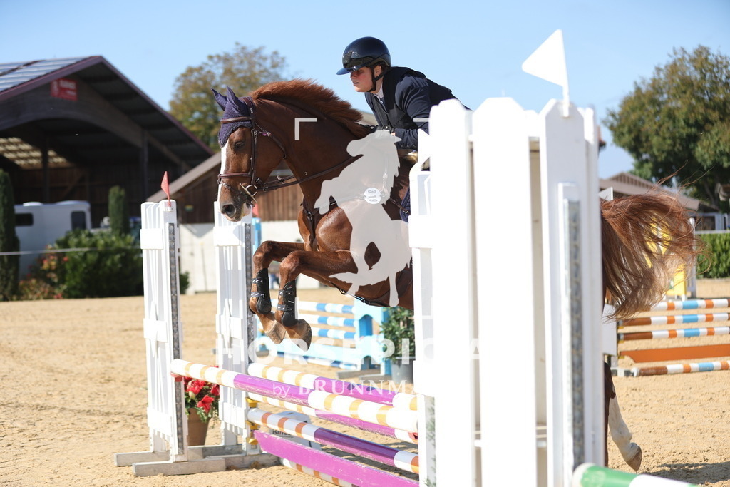 0P6A8172 | Willkommen bei Brunnmayr - Design & Fotografie – Ihrem Spezialisten für Reitturniere und Pferdeveranstaltungen in Oberösterreich, Salzburg und Bayern! Seit über 17 Jahren sind wir leidenschaftlich dabei.