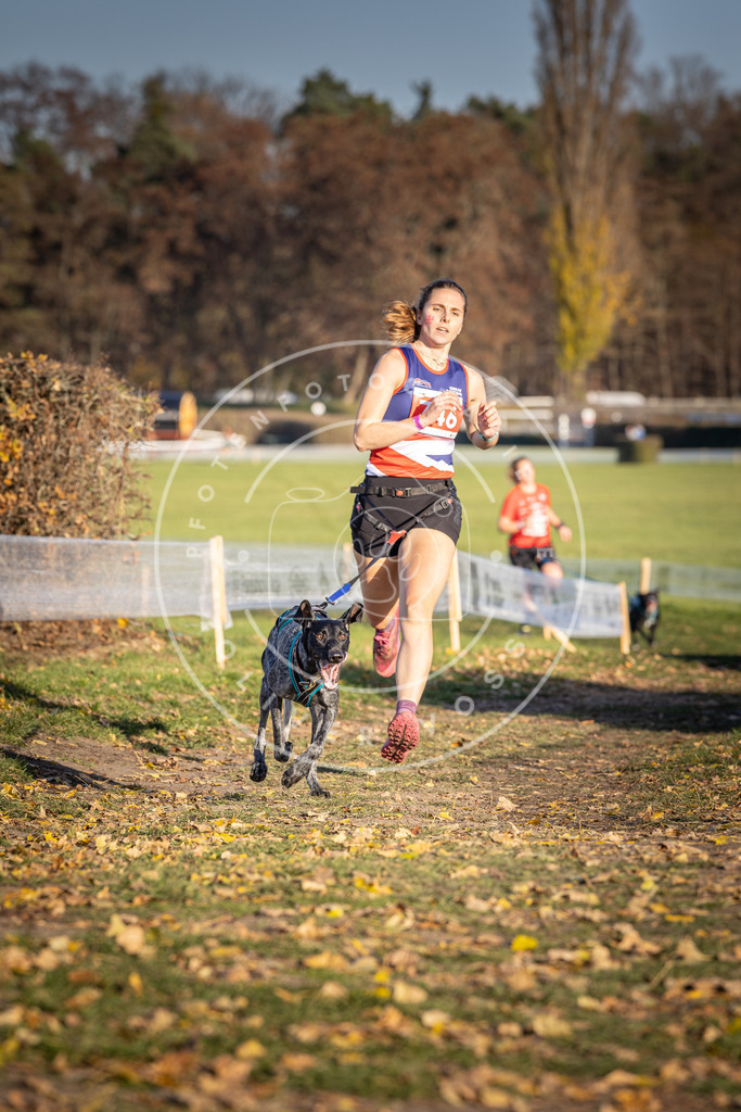 CaniXpix_DV3A2313 | Hundefotografie, Tierfotograf, Pfotenfotografie, Fotoshooting Hund, Hunde Portrait, Hundesport, Hundeportraits, Heideshooting, Hunde, Sportfotograf, Hundefotograf, Turnierhundsport, THS,  - Realisiert mit Pictrs.com
