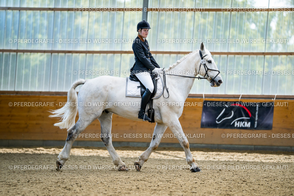 DSC05637 | Pferdegrafie