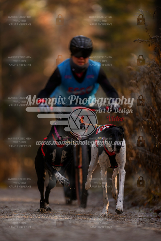 MompixPhotography_DM_AKDM_SO_2025_Scooter-42 | PayLife