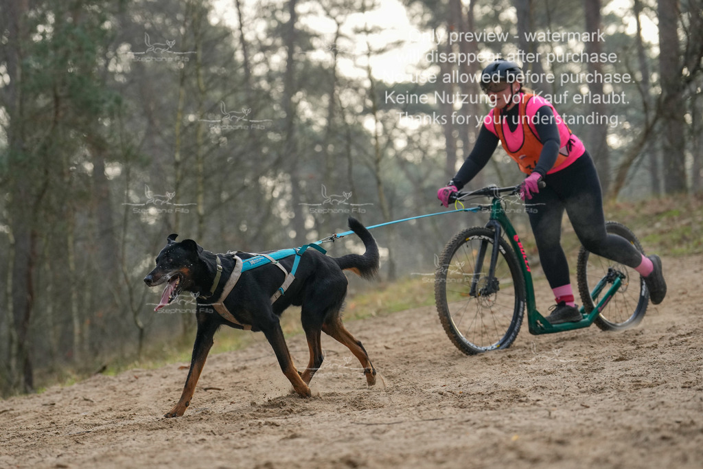 Scooter1-199 | stephaniefillaphotographie - Realisiert mit Pictrs.com