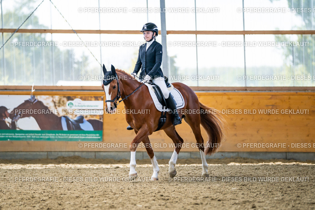 DSC05334 | Pferdegrafie