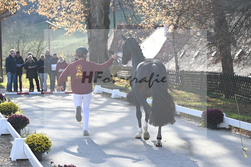 Impressionen_47253949 | hf-fotografie - Realisiert mit Pictrs.com