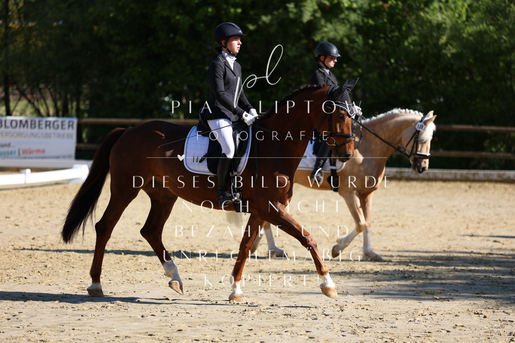 IMGT9651 | pl-fotografie