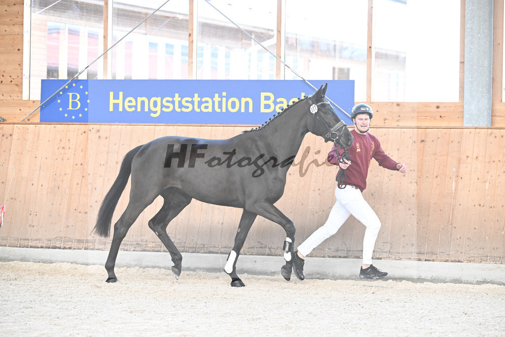 Kat-Nr. 77 Galaxa BF v. Secret_Fischer_5251959 | hf-fotografie - Realizzato con Pictrs.com
