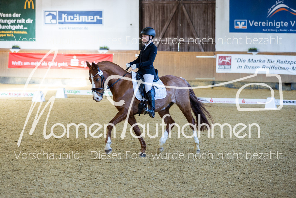 Sth-LPO25-DrR-L-234 | MomenTaufnahmen Pferdesportfotos