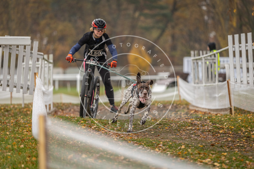 CaniXpix_DV3A8522 | Hundefotografie, Tierfotograf, Pfotenfotografie, Fotoshooting Hund, Hunde Portrait, Hundesport, Hundeportraits, Heideshooting, Hunde, Sportfotograf, Hundefotograf, Turnierhundsport, THS,  - Realisiert mit Pictrs.com