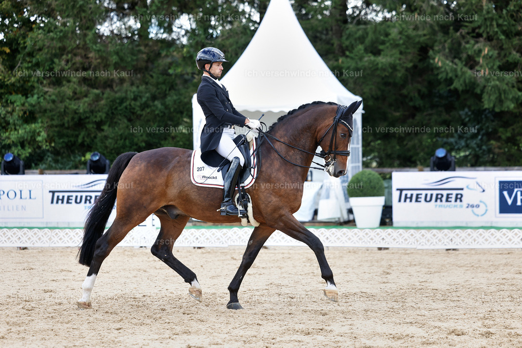 10-207-ST.GEORG SPECIAL -StoibPH-3261 | working equitationturnier fotograf videograf stoibphotography marixx film working equitation deutschland reitsport turnierfotografie eventfotografie equestrian events