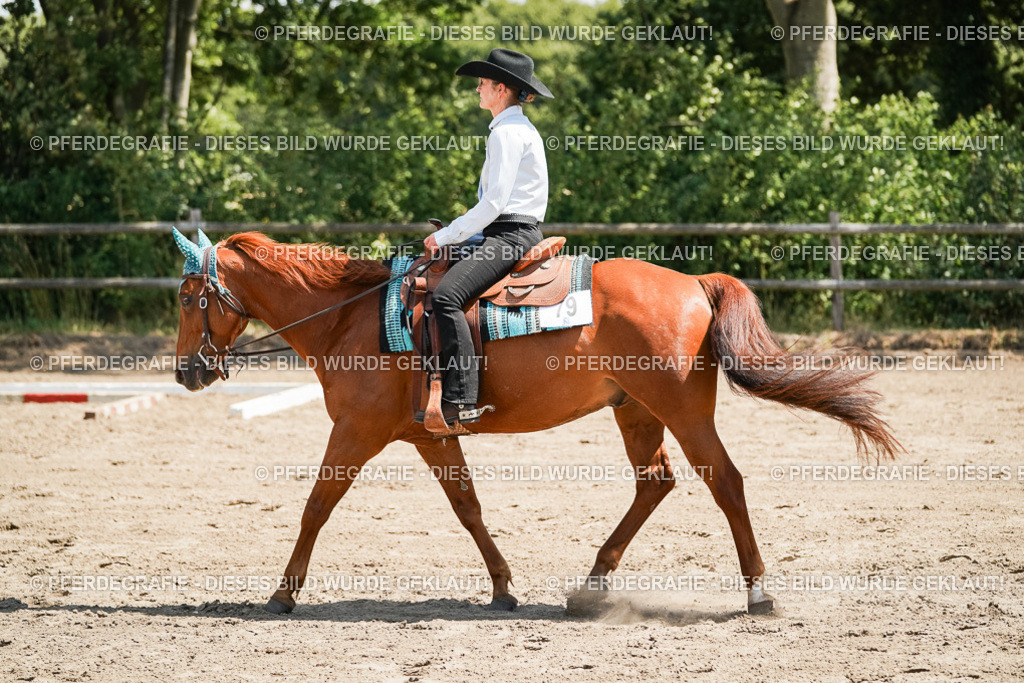 DSC07363 | Pferdegrafie