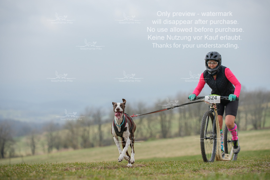 ScooterSA-129 | stephaniefillaphotographie - Realisiert mit Pictrs.com