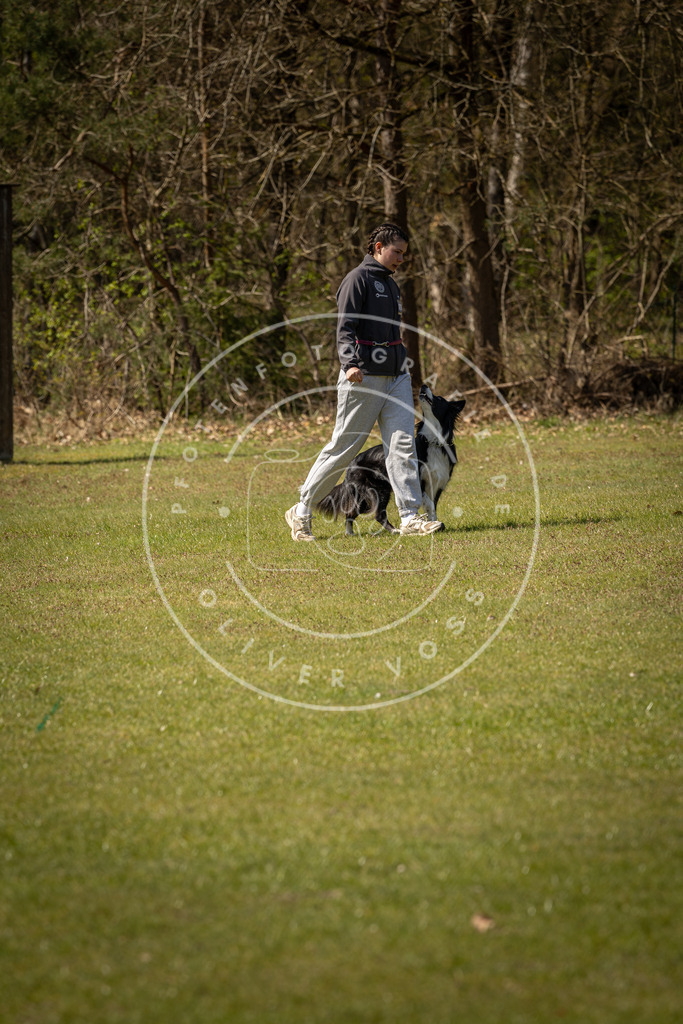 Pfotenfotografie_DV3A1019 | Hundefotografie, Tierfotograf, Pfotenfotografie, Fotoshooting Hund, Hunde Portrait, Hundesport, Hundeportraits, Heideshooting, Hunde, Sportfotograf, Hundefotograf, Turnierhundsport, THS,  - Realisiert mit Pictrs.com