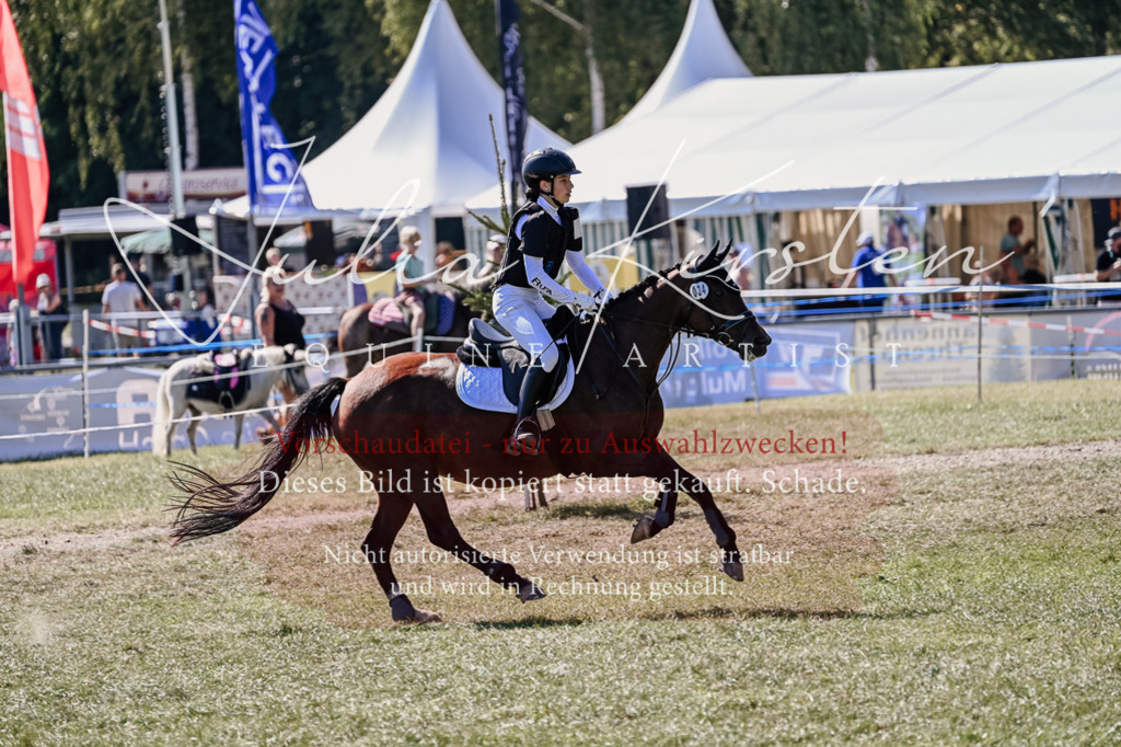 DSC_2818 | Pferde- und Turnierfotografie in Westsachsen. Pferdeportraits, Auftragszeichnungen und intuitive Kunst.