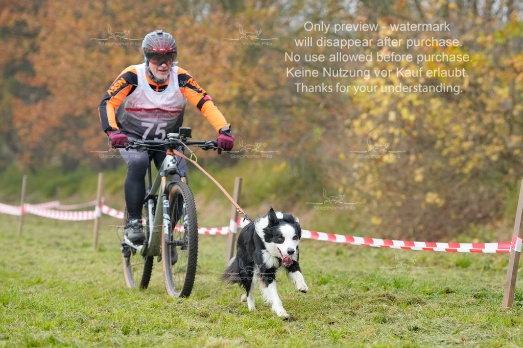 Visbeck_Sa_Bike-224 | stephaniefillaphotographie - Realisiert mit Pictrs.com