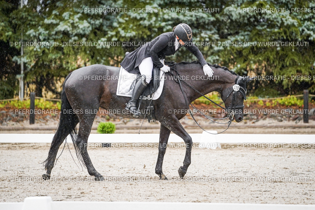 DSC08494 | Pferdegrafie