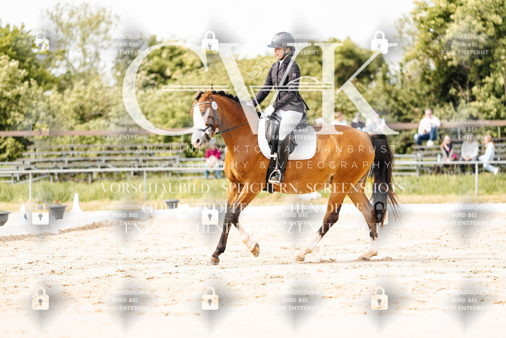 CK901255 | Turnierfotografie Pferdefotografie Trier Rheinland-Pfalz Pferdesport Reitsport Tierfotografie Sportfotografie Pferdevideo Pferdevideografie Equestrianvideography equestrianphotography  - Realisiert mit Pictrs.com