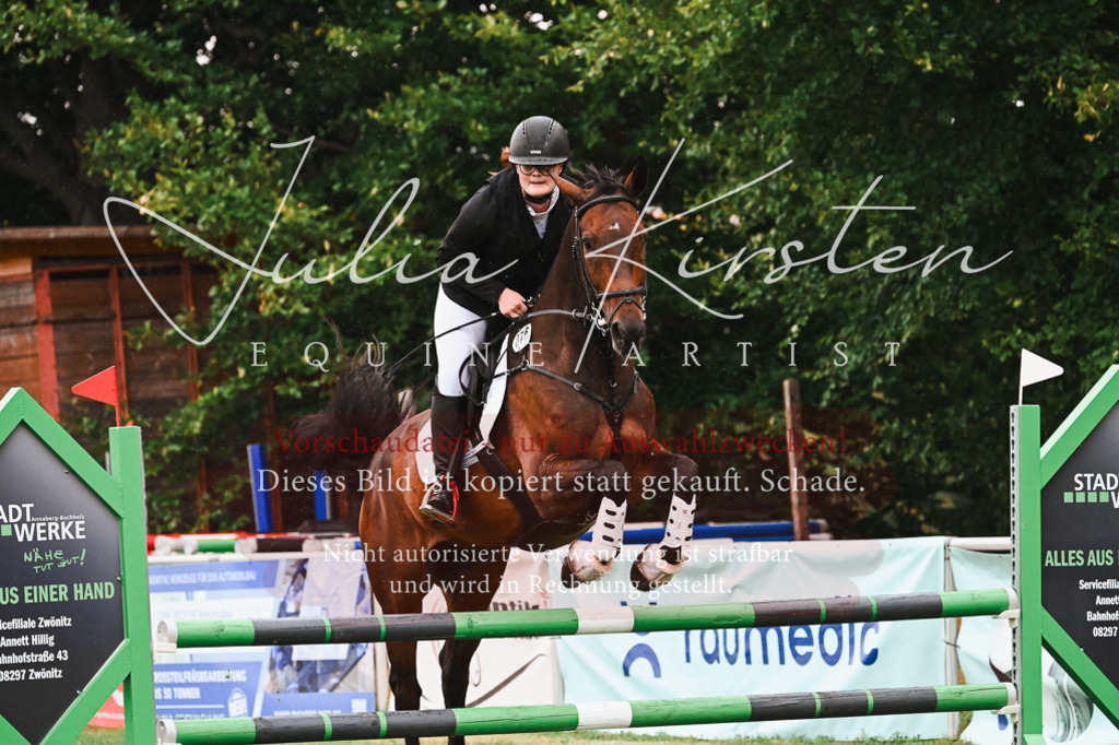 DSC_6520 | Pferde- und Turnierfotografie in Westsachsen. Pferdeportraits, Auftragszeichnungen und intuitive Kunst.