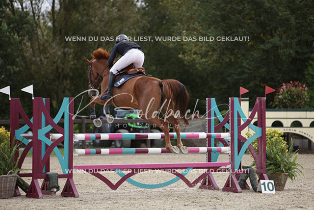 1J2A0598Pheline Ahlmann_ Belloumi_ Kn046_ Havekost | Foto- und Videografie für alles rund ums Pferd. Hochwertige Bilder und Videos vom Spring- und Dressurreiten, Voltigieren & mehr. Jetzt aktuelle Veranstaltungen und Preise im Shop ansehen. - Realisiert mit Pictrs.com