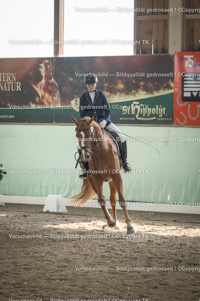 _D5A5597 | Emotionale Pferde- & People-Fotografie rund um Heidelberg, Leimen & Umgebung. Natürliche Fotos von Pferd, Mensch & Familie. Jetzt Termin sichern!