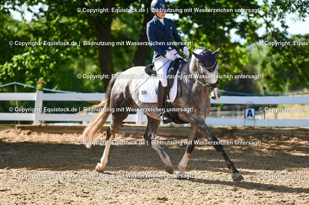 20230715_06_Dressurpferdeprfg. Kl.A_0305 | equistock