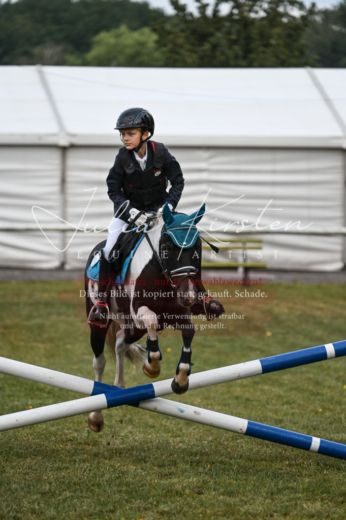 DSC_5472 | Pferde- und Turnierfotografie in Westsachsen. Pferdeportraits, Auftragszeichnungen und intuitive Kunst.